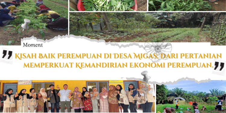Kisah Baik Perempuan di Desa Migas: Dari Pertanian memperkuat Kemandirian Ekonomi Perempuan.