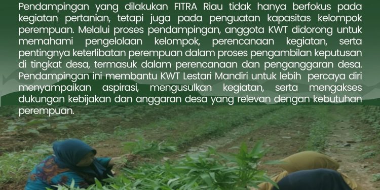 Kisah Baik Perempuan di Desa Migas: Dari Pertanian memperkuat Kemandirian Ekonomi Perempuan.