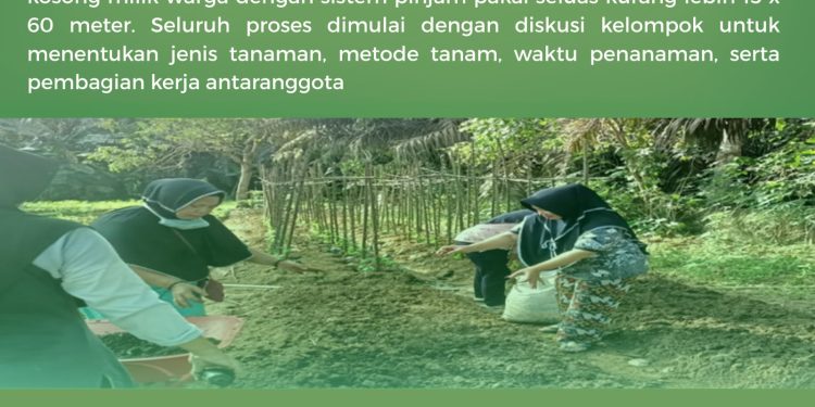 Kisah Baik Perempuan di Desa Migas: Dari Pertanian memperkuat Kemandirian Ekonomi Perempuan.