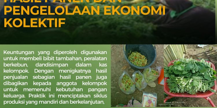 Kisah Baik Perempuan di Desa Migas: Dari Pertanian memperkuat Kemandirian Ekonomi Perempuan.