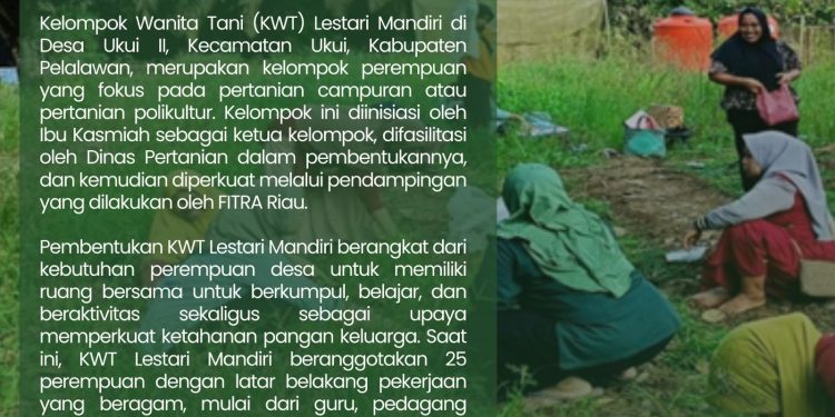 Kisah Baik Perempuan di Desa Migas: Dari Pertanian memperkuat Kemandirian Ekonomi Perempuan.